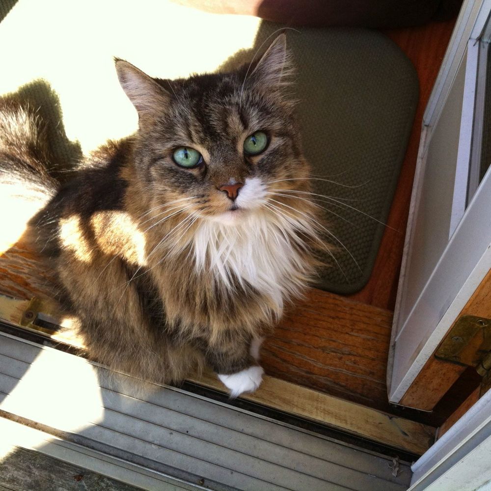 Meet your Posher, Marlena